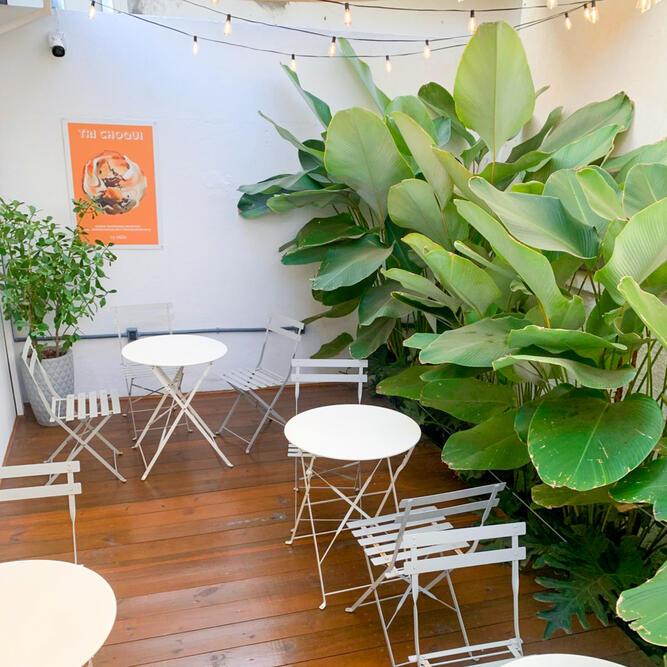 foto-limeira-2 foto-limeira-2